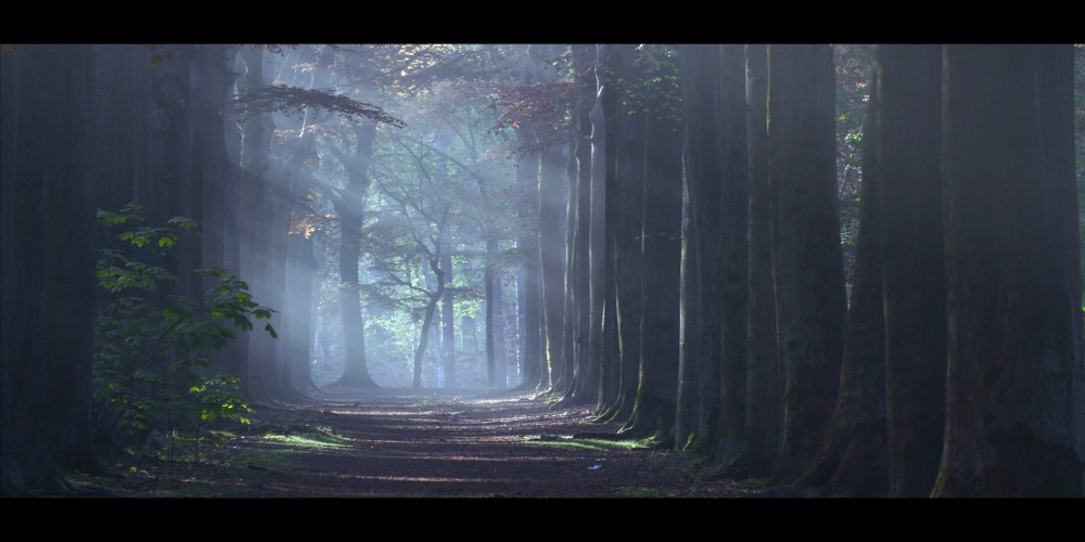 Film Brabantse Wal - Zoomland