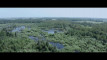 Film Brabantse Wal - Zeezuiper