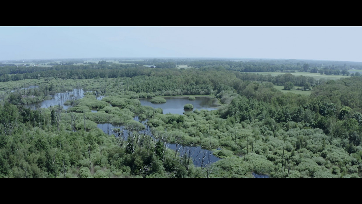 Film Brabantse Wal - Zeezuiper