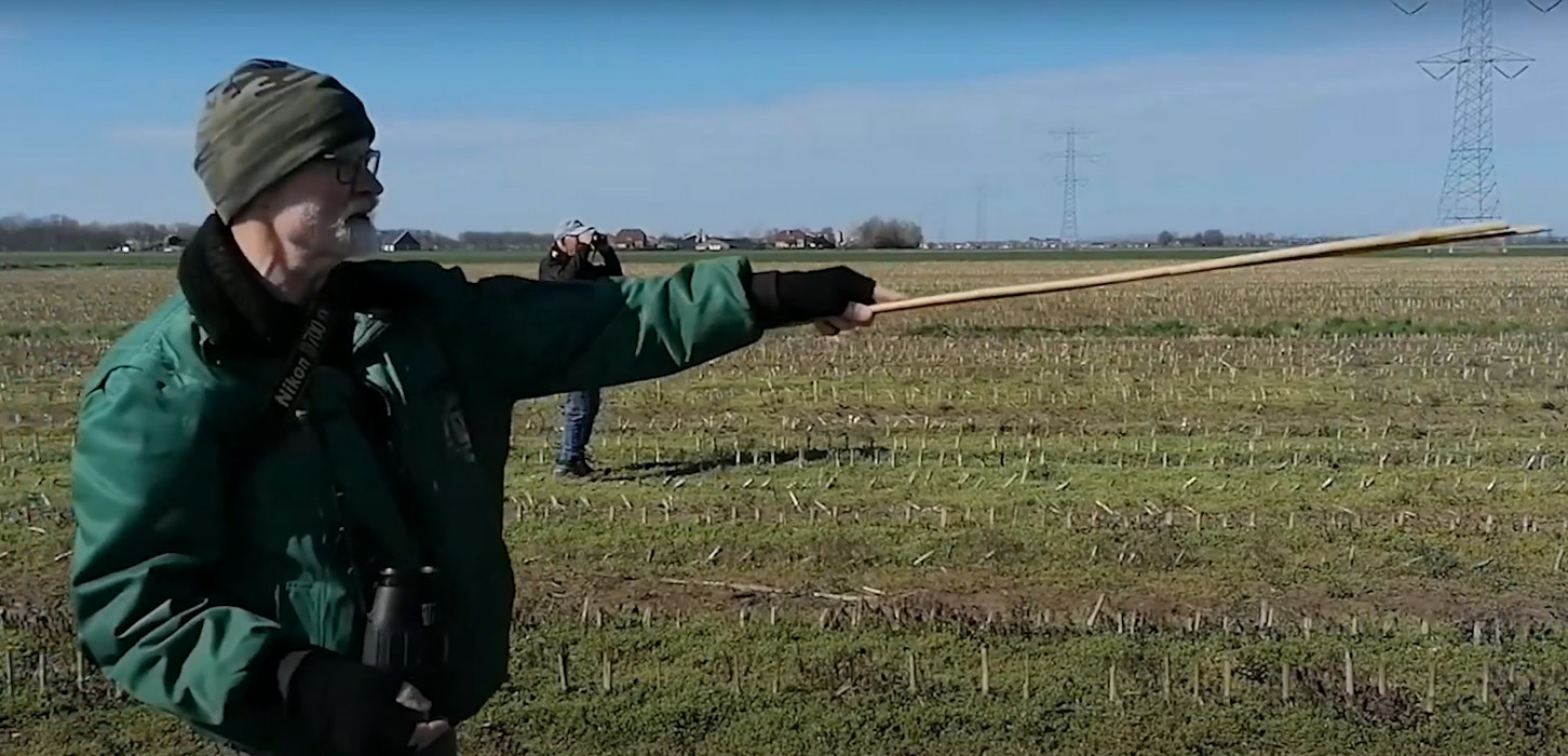 Screenshot Youtube VV Weidevogels beschermen in polder Nuland